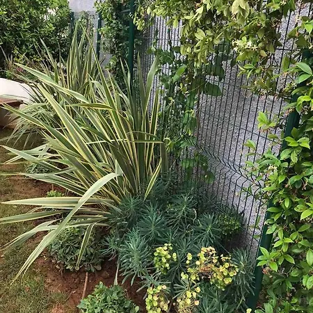 Nena I Ilka 아파트 풀라