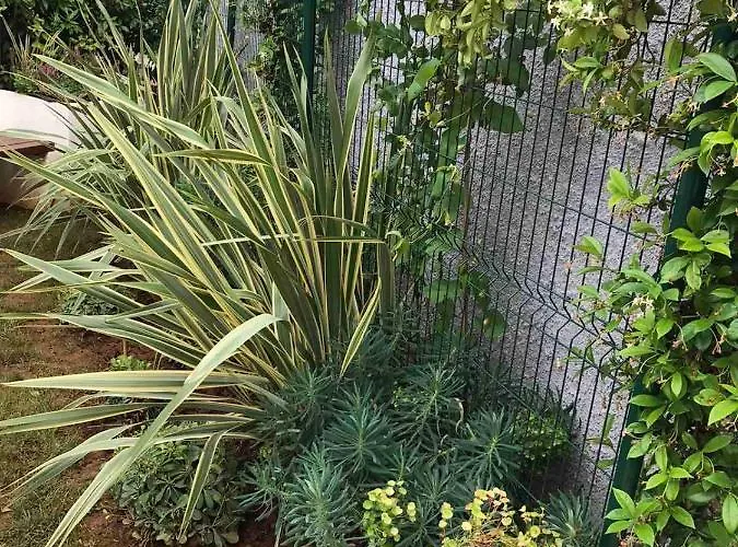 Nena I Ilka Apartamento Pula